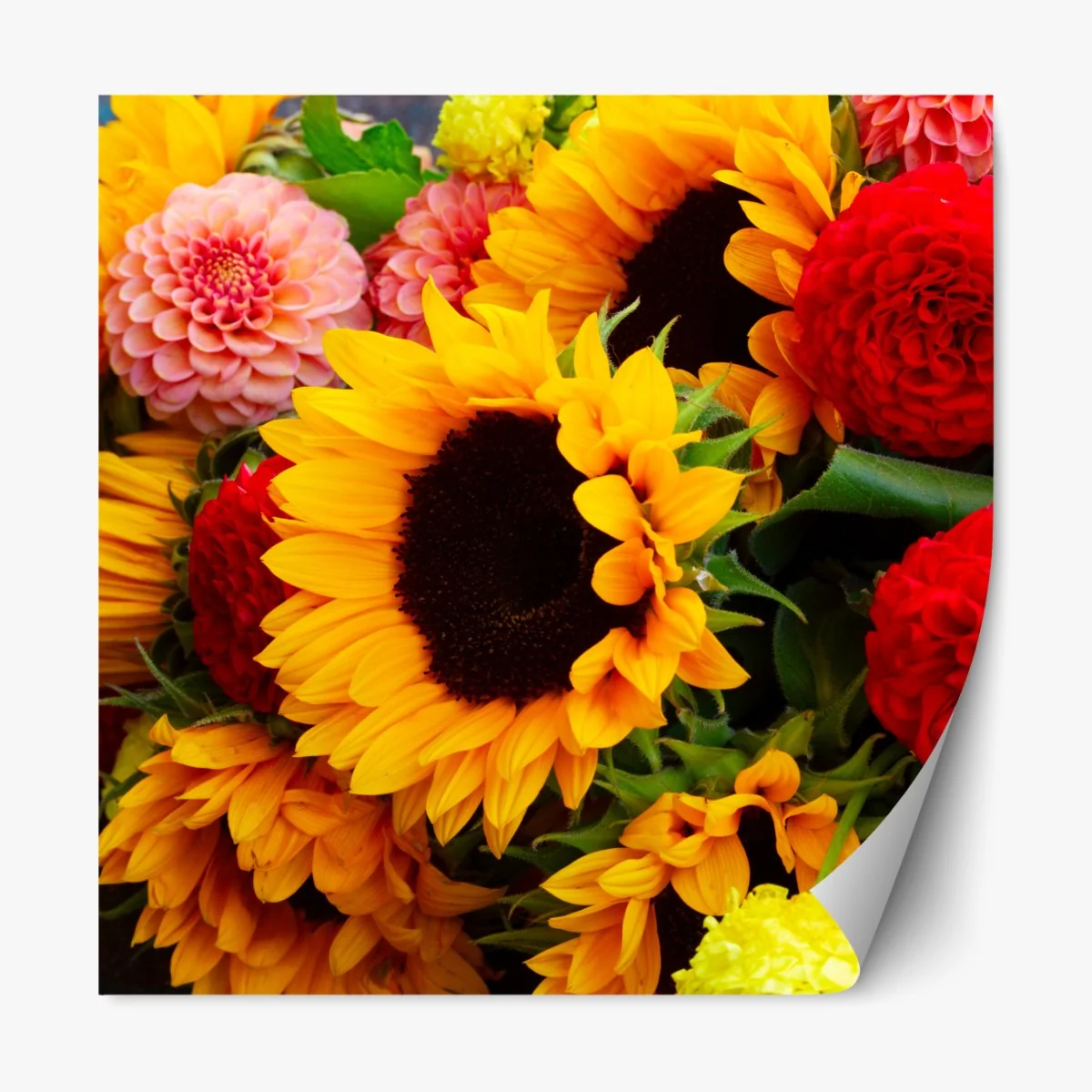 Naklejka repozycjonowalna zbliżenie bukietu słoneczników i dali – Wallissimo® Naklejka repozycjonowalna zbliżenie bukietu słoneczników i dali – Wallissimo®