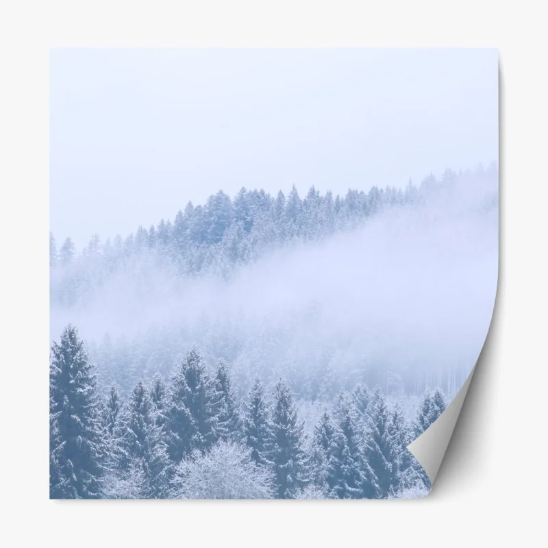 Naklejka repozycjonowalna zimowa mgła nad lasem iglastym