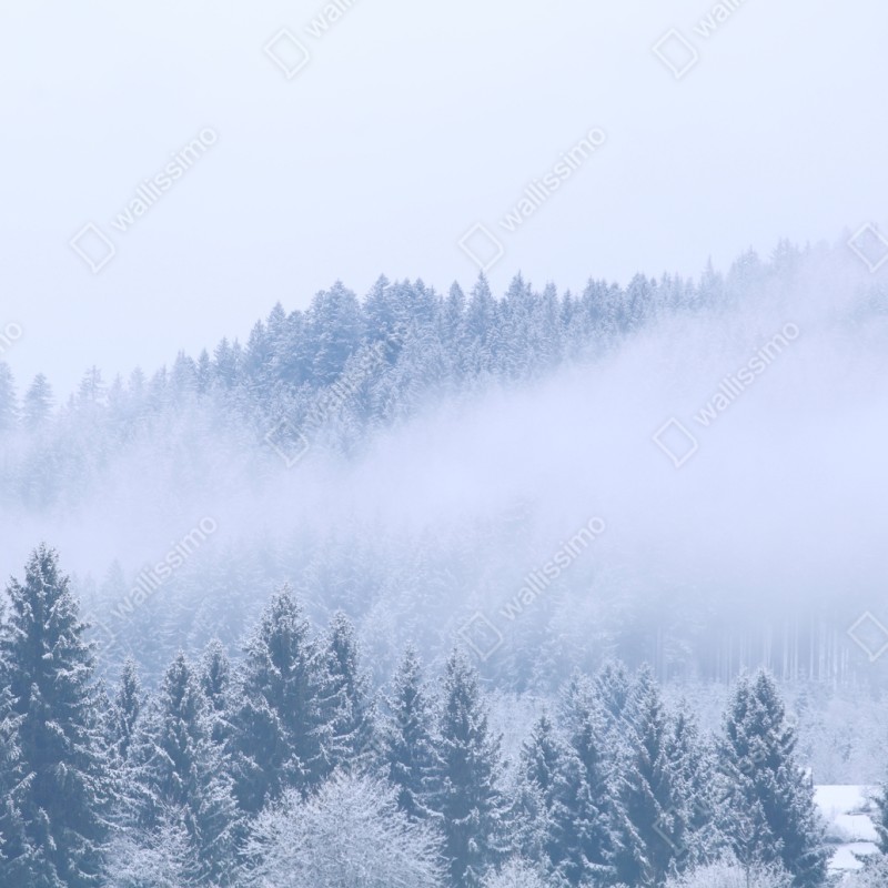 Naklejka repozycjonowalna zimowa mgła nad lasem iglastym – Wallissimo® Naklejka repozycjonowalna zimowa mgła nad lasem iglastym – Wallissimo®