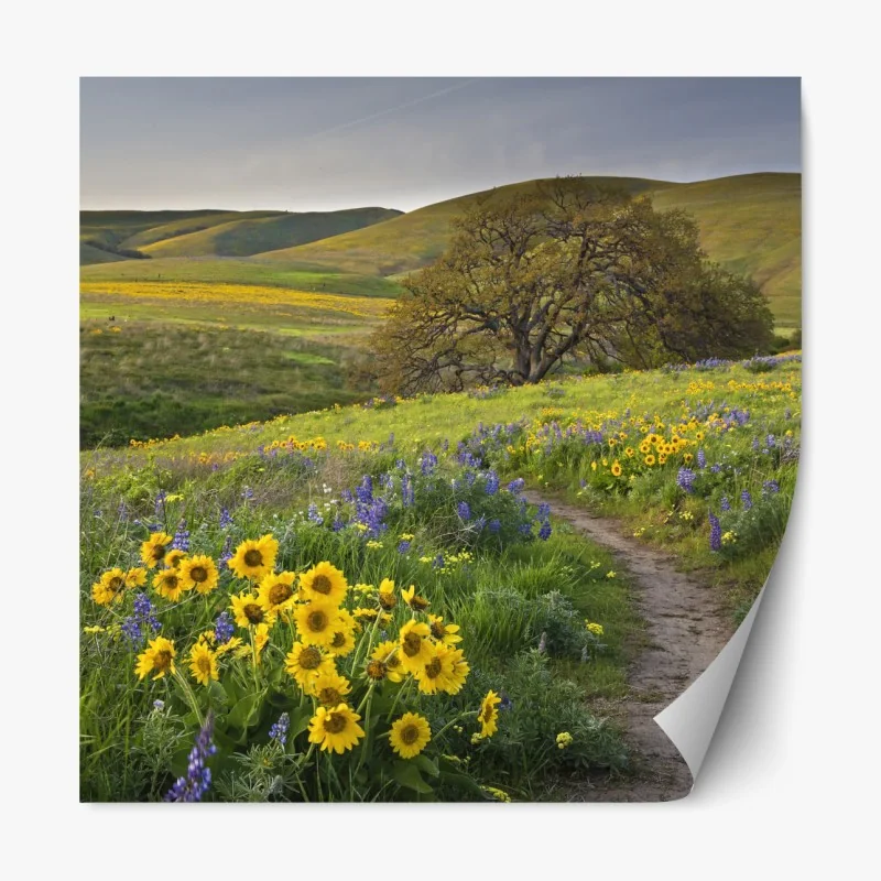 Naklejka repozycjonowalna słoneczny drewniany most nad spokojnym jeziorem – Wallissimo®