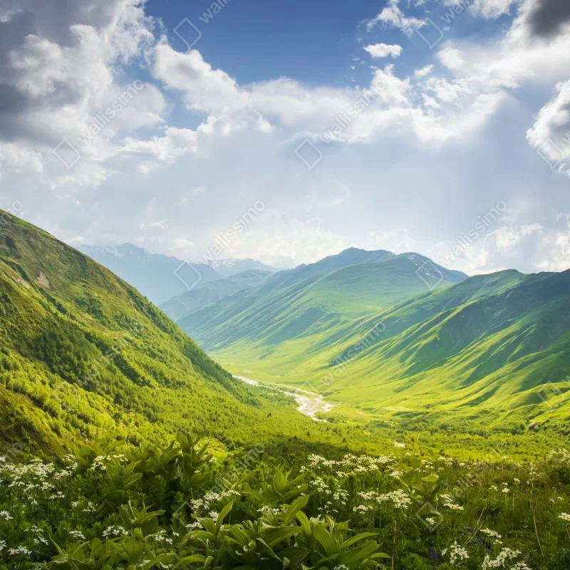 Naklejka repozycjonowalna bujna zielona dolina górska – Wallissimo® Naklejka repozycjonowalna bujna zielona dolina górska – Wallissimo®