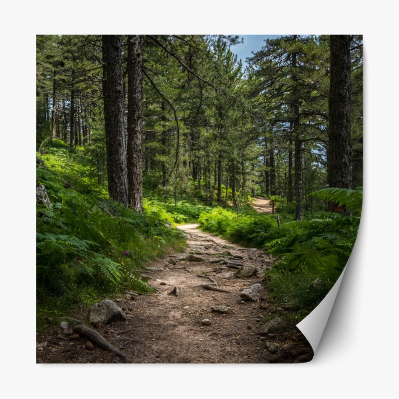 Naklejka repozycjonowalna złote liście w stylu line art – Wallissimo®