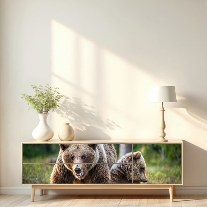 Naklejka repozycjonowalna niedźwiedź brunatny z młodym w lesie – Wallissimo® Naklejka repozycjonowalna niedźwiedź brunatny z młodym w lesie – Wallissimo®