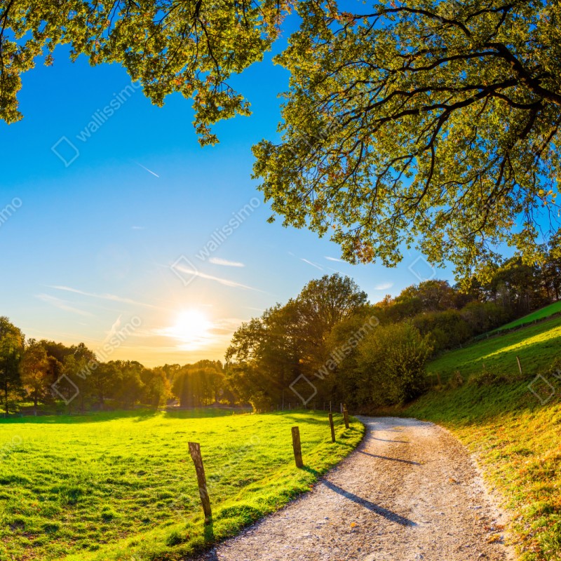 Naklejka repozycjonowalna słoneczna łąka i wiejska droga o zachodzie słońca – Wallissimo® Naklejka repozycjonowalna słoneczna łąka i wiejska droga o zachodzie słońca – Wallissimo®
