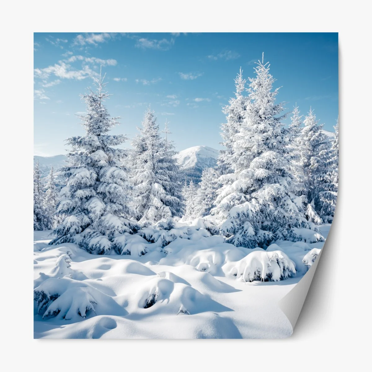 Naklejka repozycjonowalna zimowy spokój w Karpatach – Wallissimo® Naklejka repozycjonowalna zimowy spokój w Karpatach – Wallissimo®