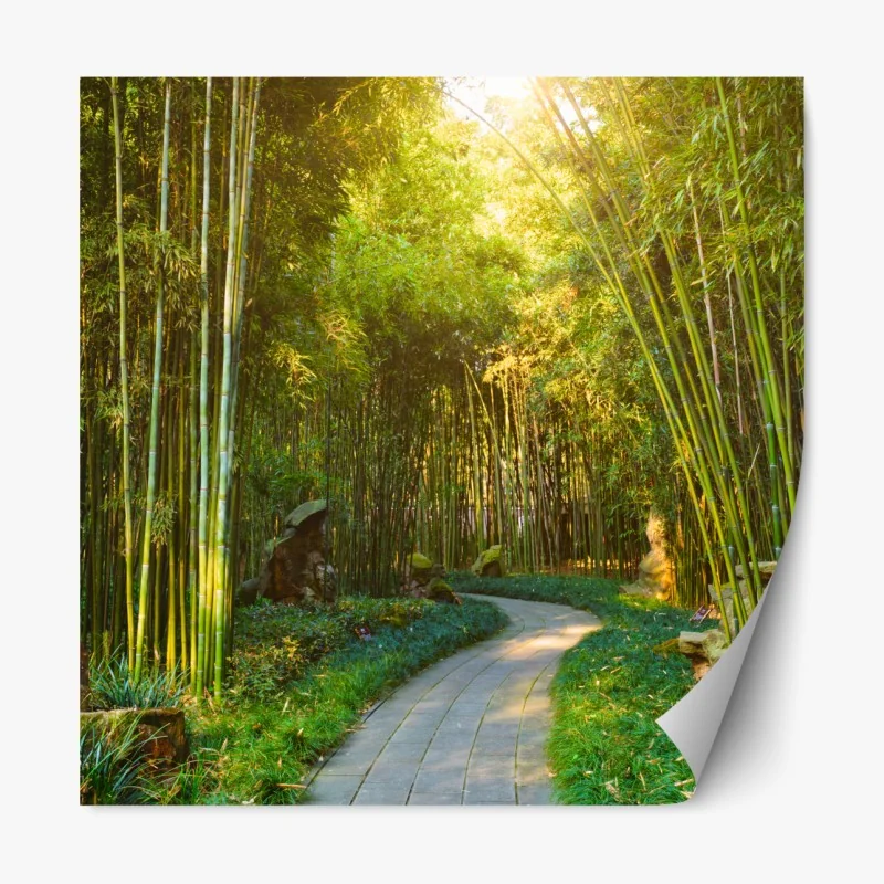 Naklejka repozycjonowalna spokojna ścieżka w bambusowym lesie