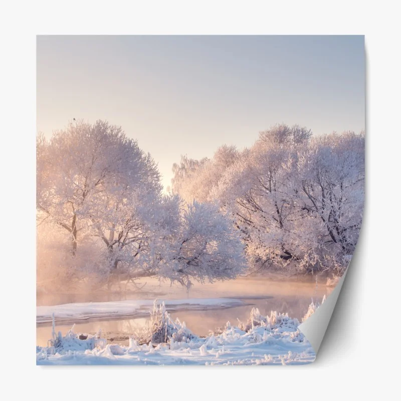 Naklejka repozycjonowalna oszronione drzewa o świcie