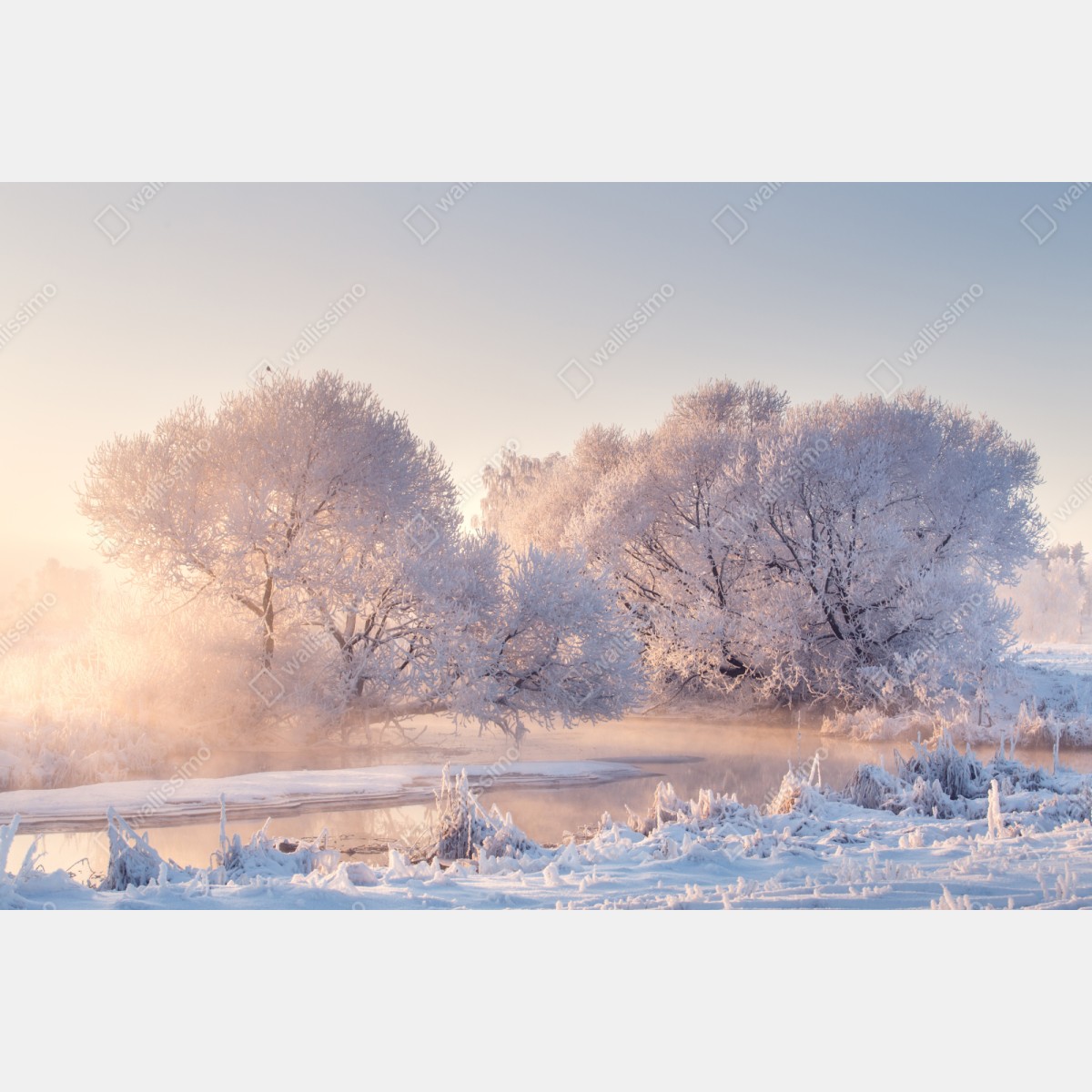 Naklejka repozycjonowalna oszronione drzewa o świcie – Wallissimo® Naklejka repozycjonowalna oszronione drzewa o świcie – Wallissimo®