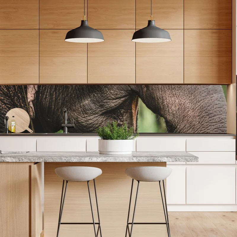 Naklejka repozycjonowalna zbliżenie na słonia azjatyckiego