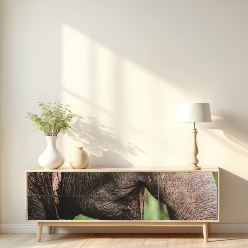 Naklejka repozycjonowalna zbliżenie na słonia azjatyckiego – Wallissimo® Naklejka repozycjonowalna zbliżenie na słonia azjatyckiego – Wallissimo®