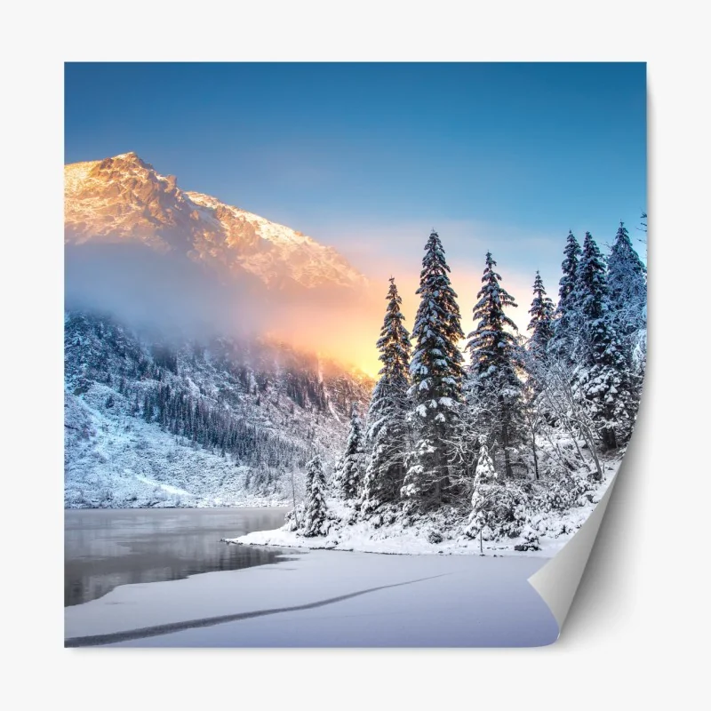 Naklejka repozycjonowalna zebra w monochromatycznych paskach – Wallissimo®