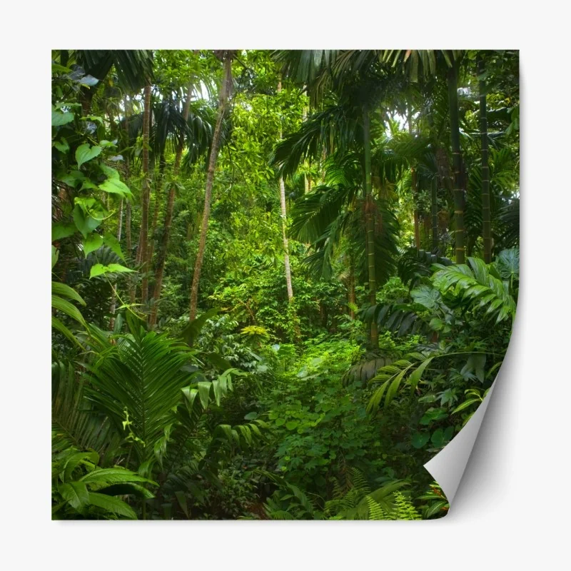Naklejka repozycjonowalna bujna tropikalna dżungla