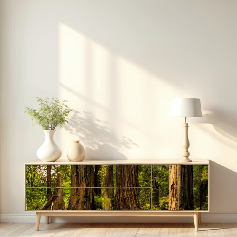 Naklejka repozycjonowalna Kalifornia sekwoje leśna ścieżka – Wallissimo® Naklejka repozycjonowalna Kalifornia sekwoje leśna ścieżka – Wallissimo®