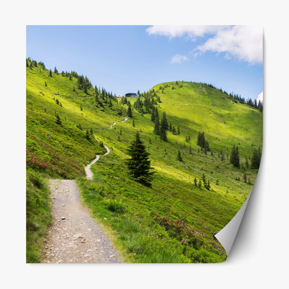 Naklejka repozycjonowalna słoneczna górska ścieżka przez zieloną łąkę – Wallissimo® Naklejka repozycjonowalna słoneczna górska ścieżka przez zieloną łąkę – Wallissimo®