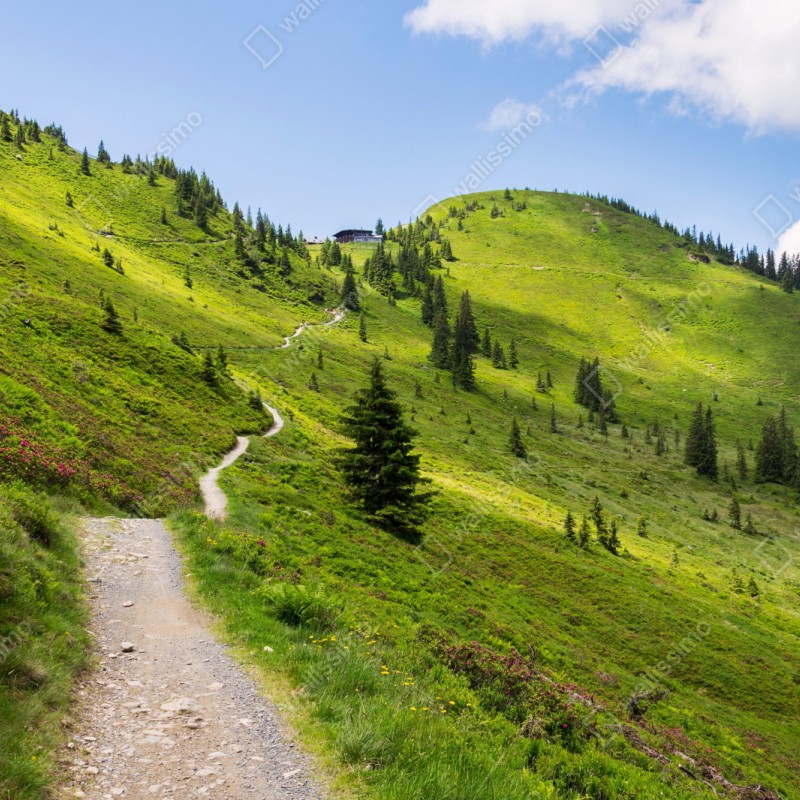 Naklejka repozycjonowalna słoneczna górska ścieżka przez zieloną łąkę – Wallissimo® Naklejka repozycjonowalna słoneczna górska ścieżka przez zieloną łąkę – Wallissimo®