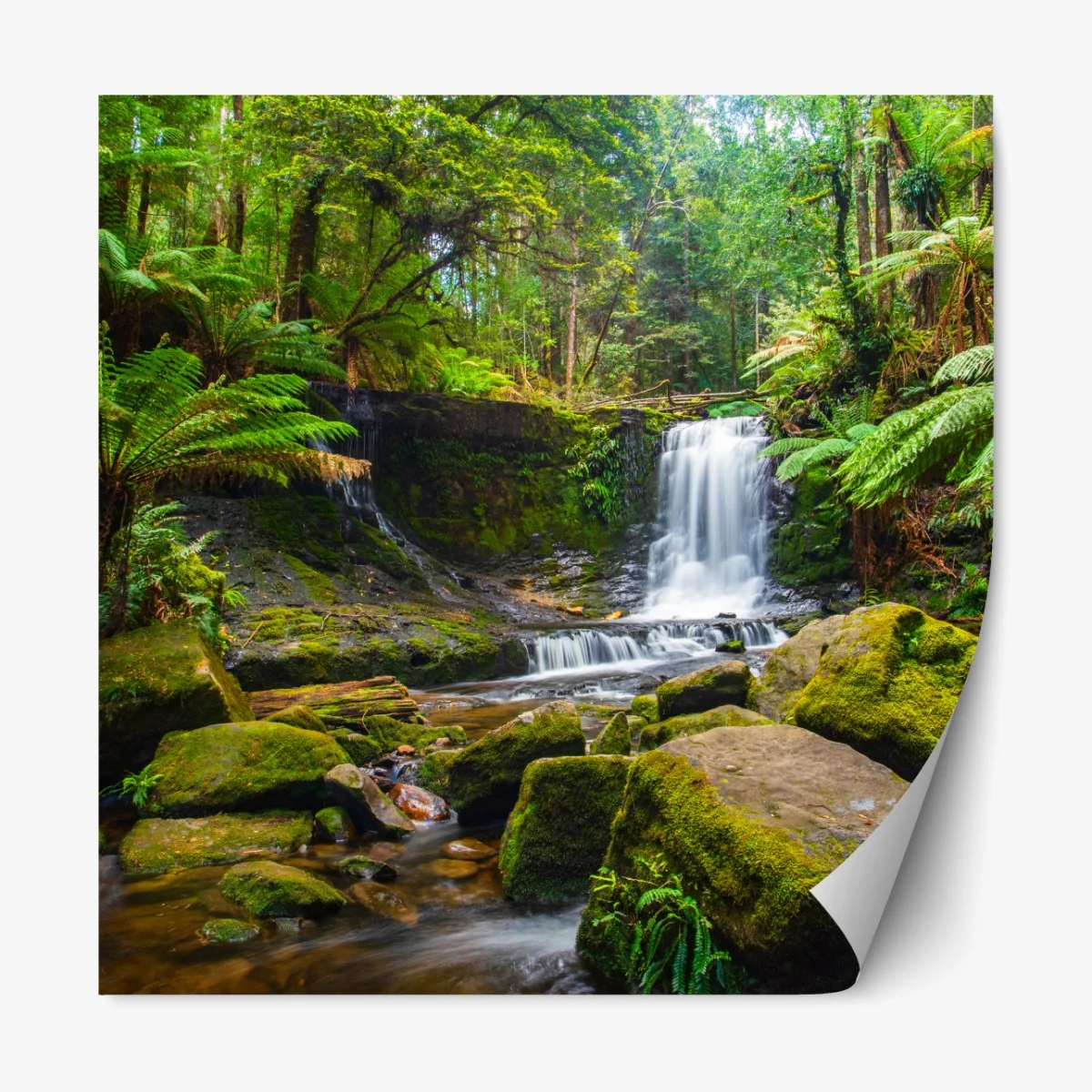 Naklejka repozycjonowalna bujny leśny wodospad – Wallissimo® Naklejka repozycjonowalna bujny leśny wodospad – Wallissimo®