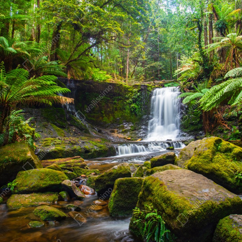 Naklejka repozycjonowalna bujny leśny wodospad – Wallissimo® Naklejka repozycjonowalna bujny leśny wodospad – Wallissimo®