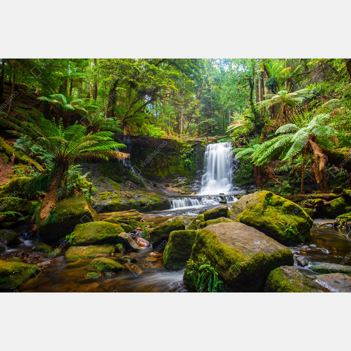 Naklejka repozycjonowalna bujny leśny wodospad – Wallissimo® Naklejka repozycjonowalna bujny leśny wodospad – Wallissimo®