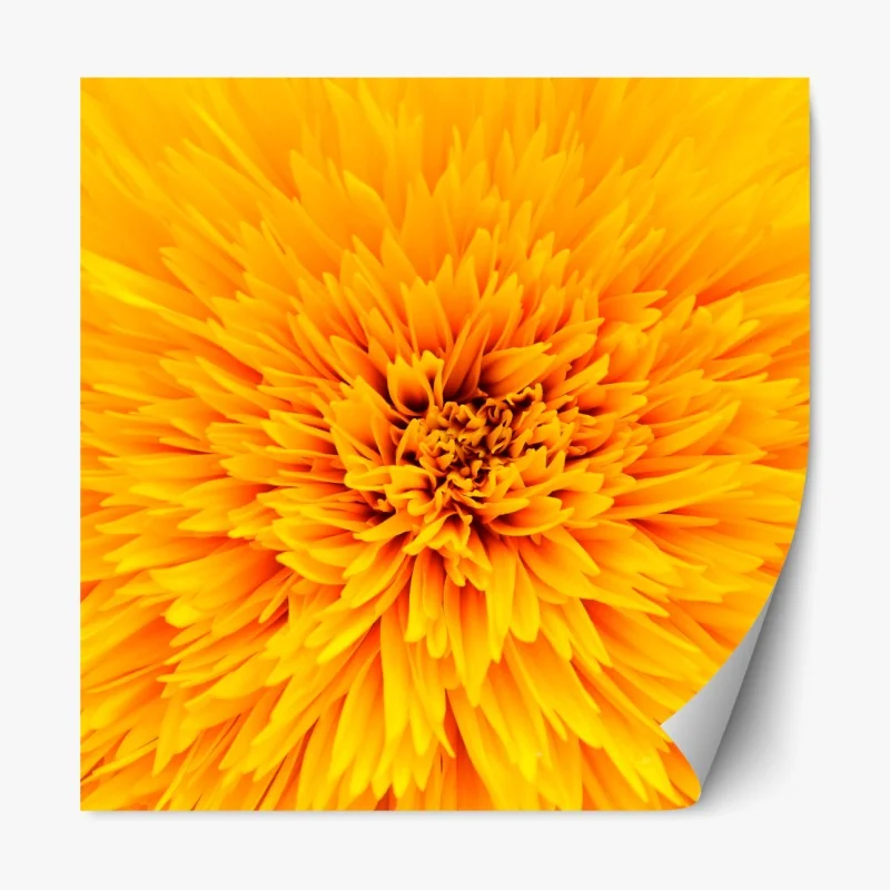 Naklejka repozycjonowalna złoty wzór liści na białym tle – Wallissimo®