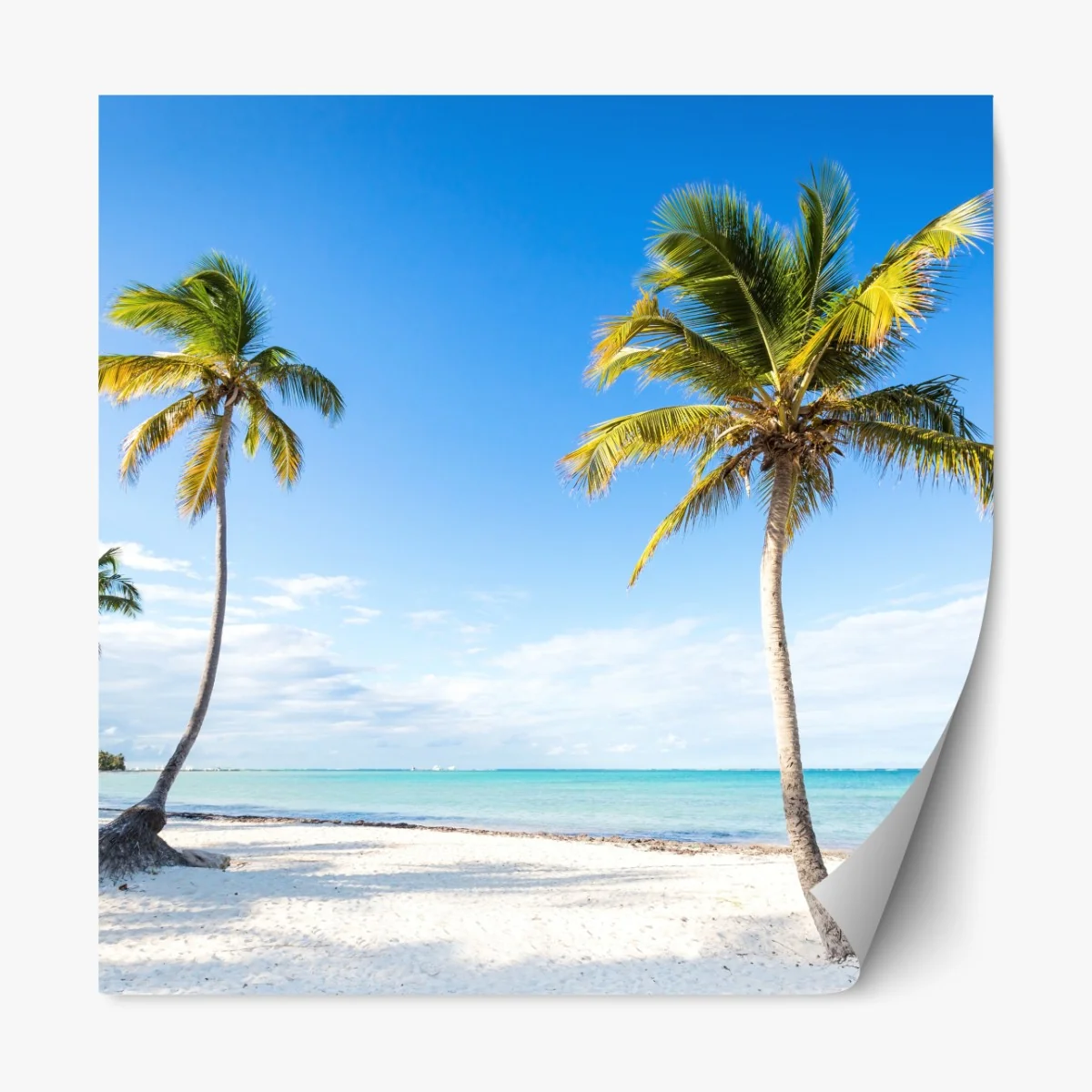 Naklejka repozycjonowalna tropikalna plaża z palmami – Wallissimo® Naklejka repozycjonowalna tropikalna plaża z palmami – Wallissimo®