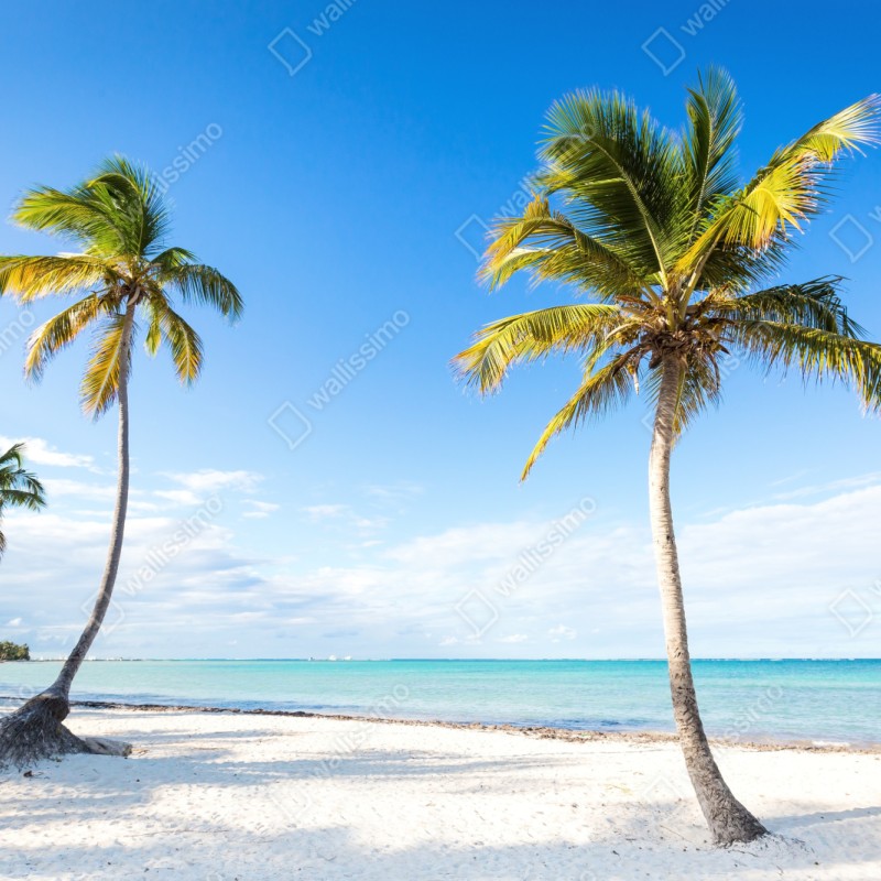 Naklejka repozycjonowalna tropikalna plaża z palmami – Wallissimo® Naklejka repozycjonowalna tropikalna plaża z palmami – Wallissimo®
