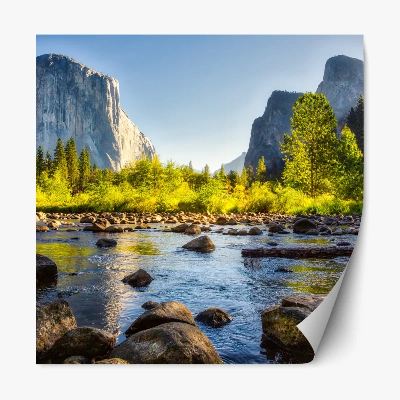 Naklejka repozycjonowalna zbliżenie kaktusa opuncji – Wallissimo®