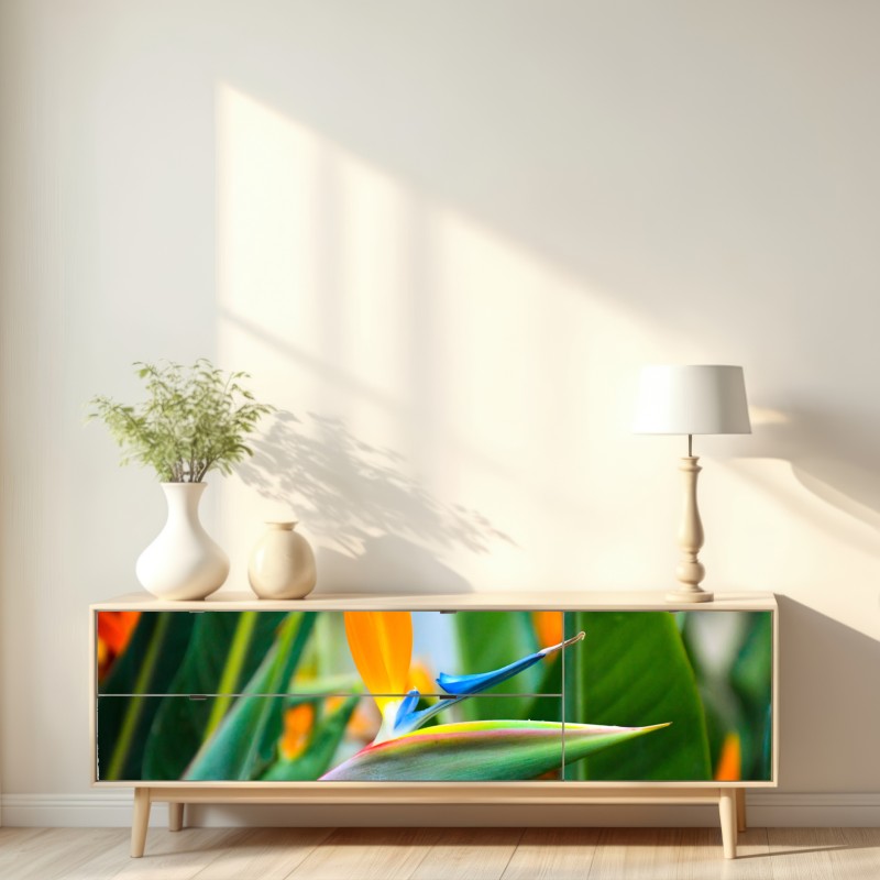 Naklejka repozycjonowalna żywy kwiat ptaka rajskiego – Wallissimo® Naklejka repozycjonowalna żywy kwiat ptaka rajskiego – Wallissimo®