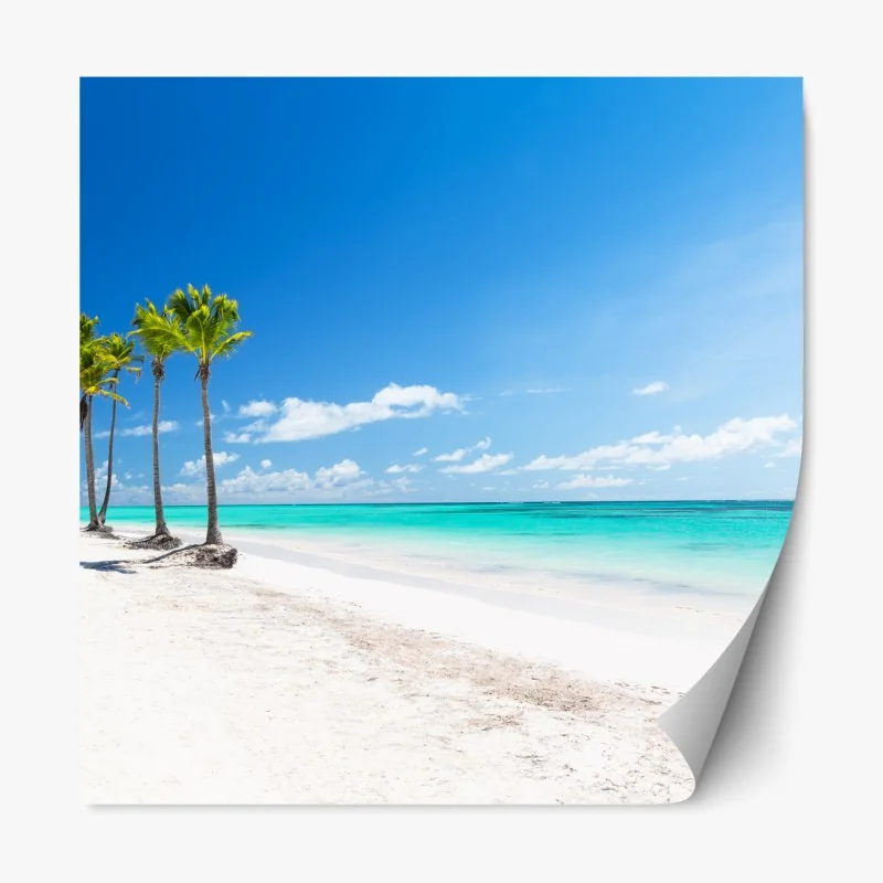 Naklejka repozycjonowalna mglisty las w odcieniach szarości – Wallissimo®