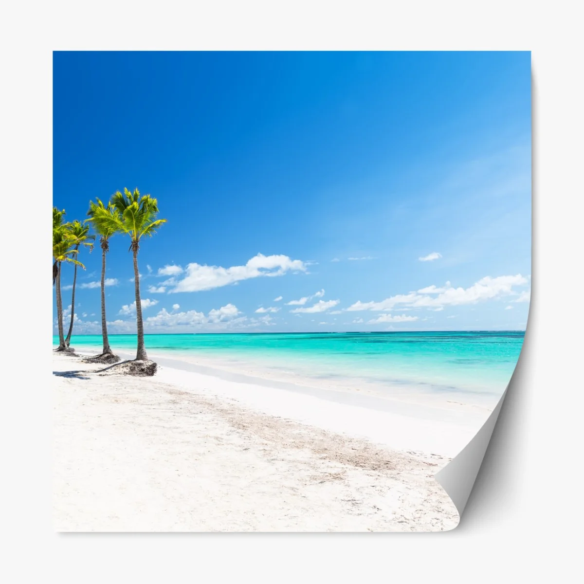 Naklejka repozycjonowalna palmy na plaży w Punta Cana – Wallissimo® Naklejka repozycjonowalna palmy na plaży w Punta Cana – Wallissimo®