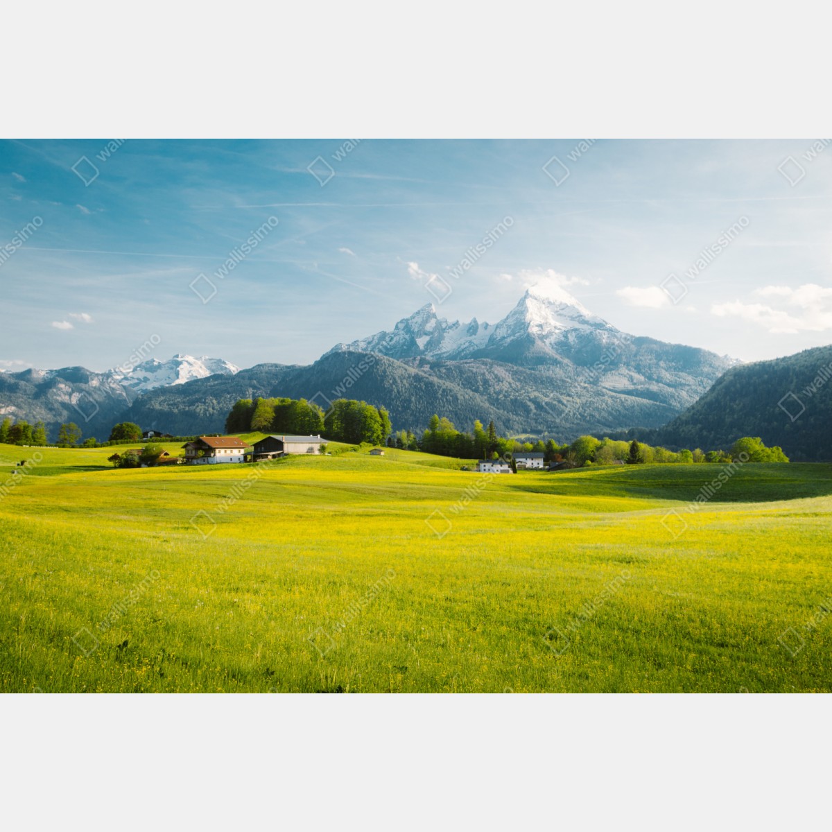 Naklejka repozycjonowalna alpejska łąka pod ośnieżonymi szczytami – Wallissimo® Naklejka repozycjonowalna alpejska łąka pod ośnieżonymi szczytami – Wallissimo®