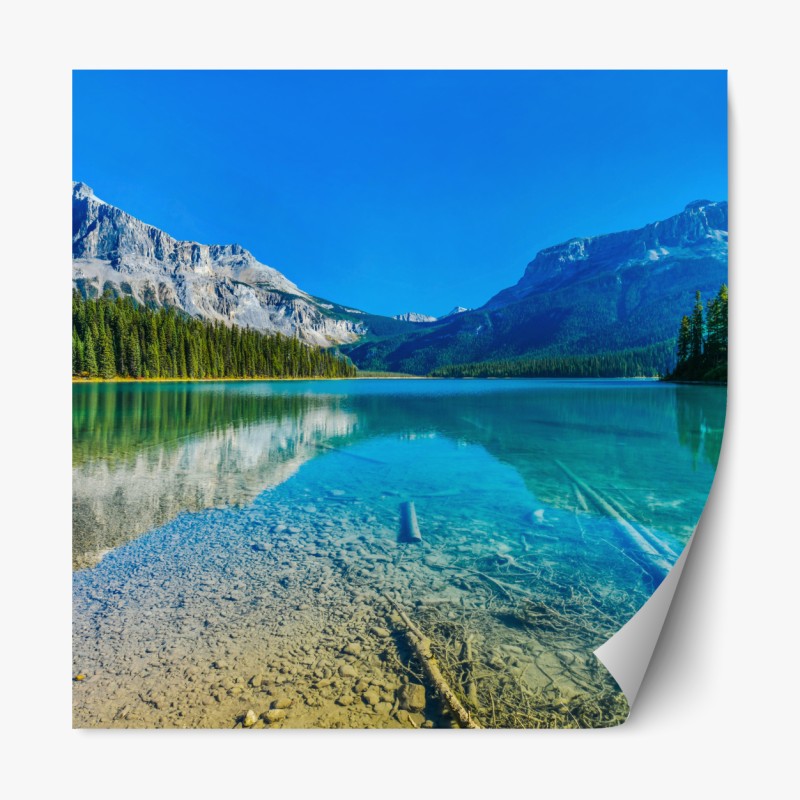 Naklejka repozycjonowalna akwarelowy tukan w tropikalnym wzorze – Wallissimo®