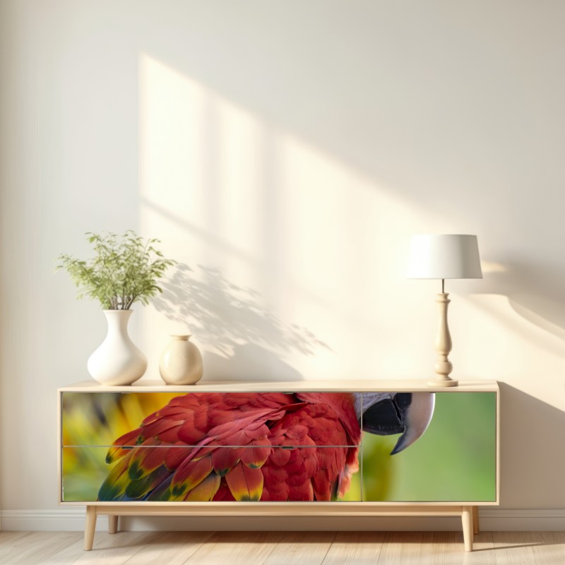 Naklejka repozycjonowalna wyrazisty portret ary szkarłatnej – Wallissimo® Naklejka repozycjonowalna wyrazisty portret ary szkarłatnej – Wallissimo®