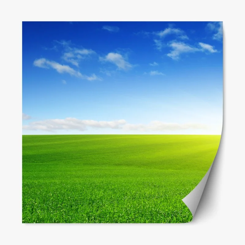 Naklejka repozycjonowalna zabawny wzór księżniczki z koronami i ustami – Wallissimo®