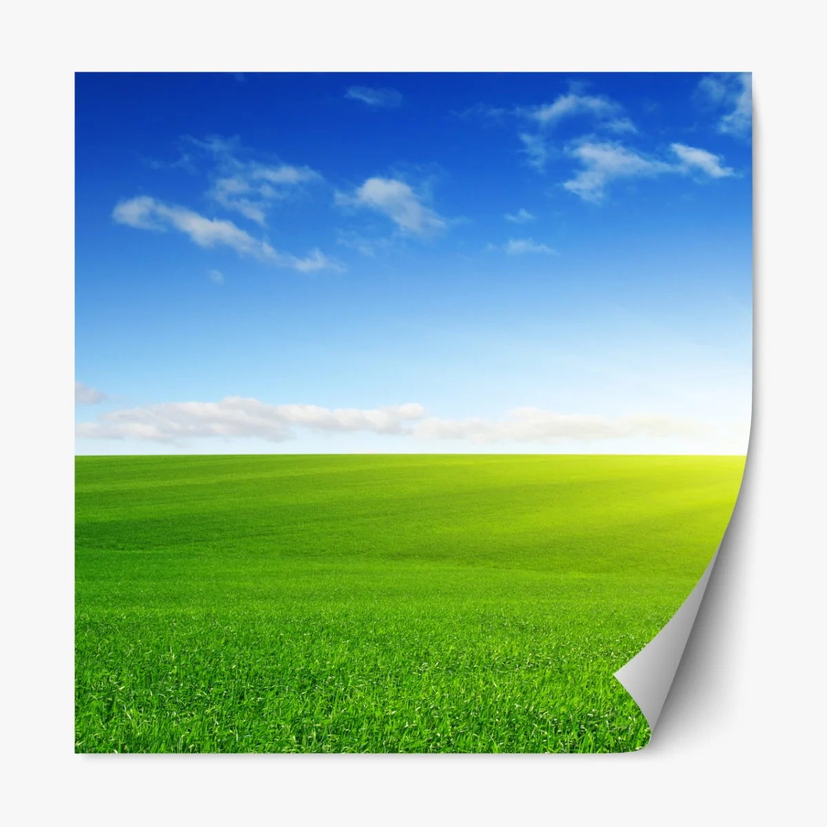 Naklejka repozycjonowalna słoneczna zielona łąka o wschodzie – Wallissimo® Naklejka repozycjonowalna słoneczna zielona łąka o wschodzie – Wallissimo®