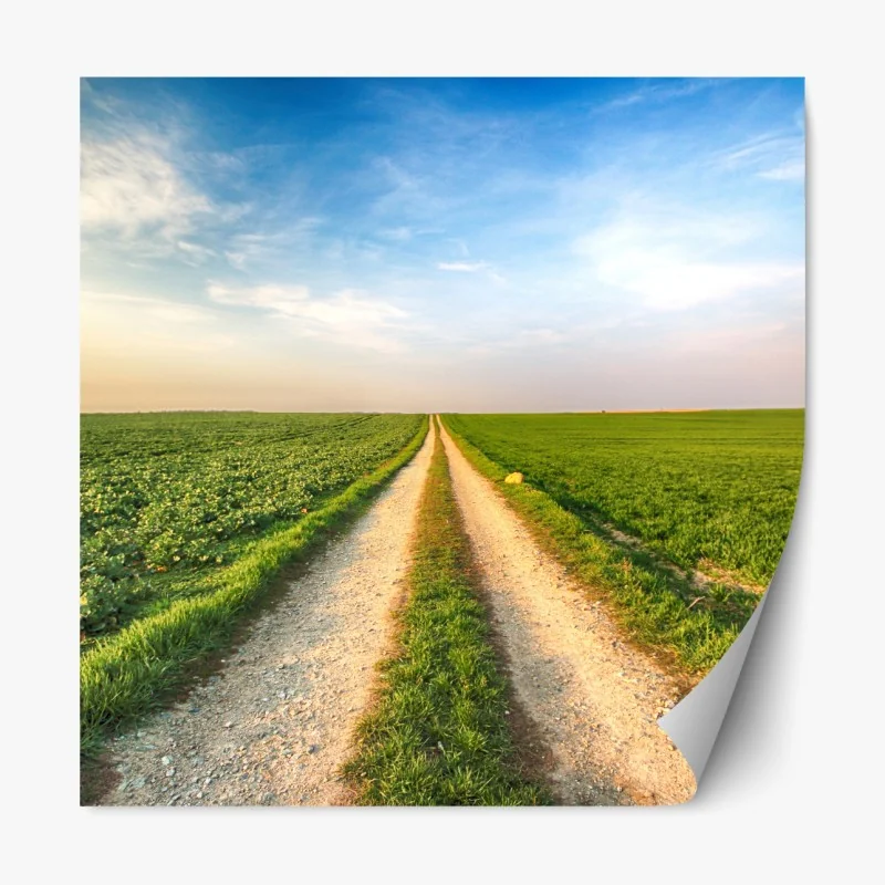 Naklejka repozycjonowalna pole czerwonych maków – Wallissimo®