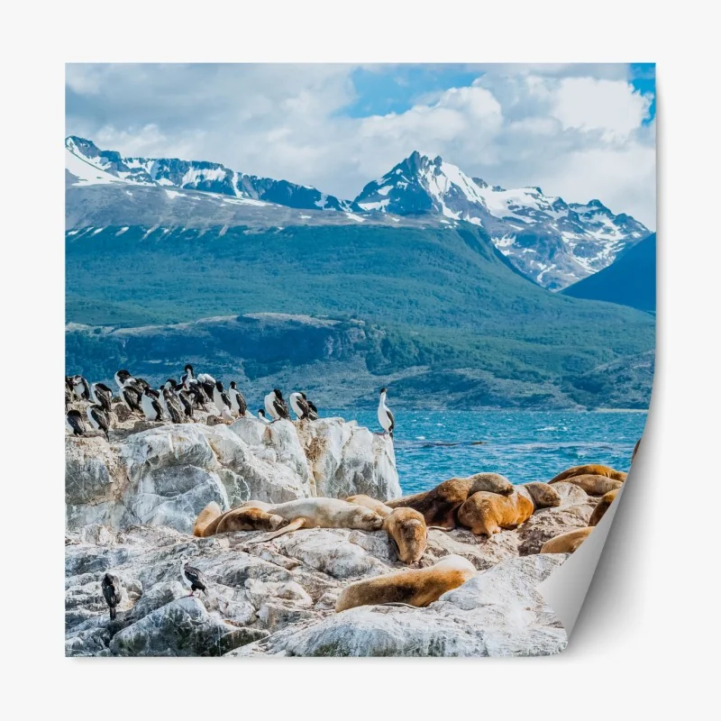 Naklejka repozycjonowalna lwy morskie i ptaki na skalistym wybrzeżu