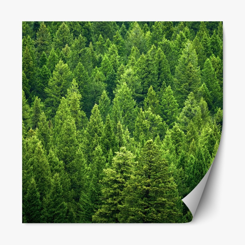 Naklejka repozycjonowalna egzotyczny wzór z gepardami i różami – Wallissimo®