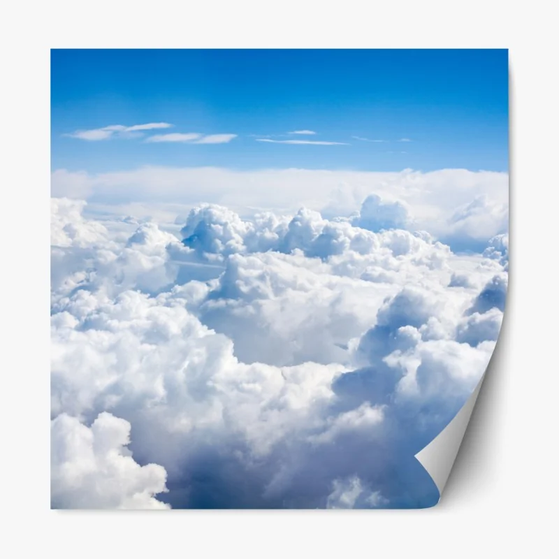 Naklejka repozycjonowalna białe zbliżenie stokrotki na czarnym tle – Wallissimo®