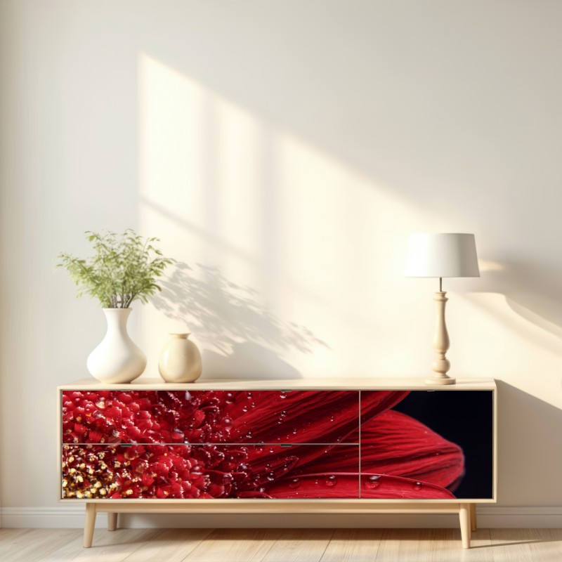 Naklejka repozycjonowalna czerwona gerbera makro z kroplami rosy – Wallissimo® Naklejka repozycjonowalna czerwona gerbera makro z kroplami rosy – Wallissimo®