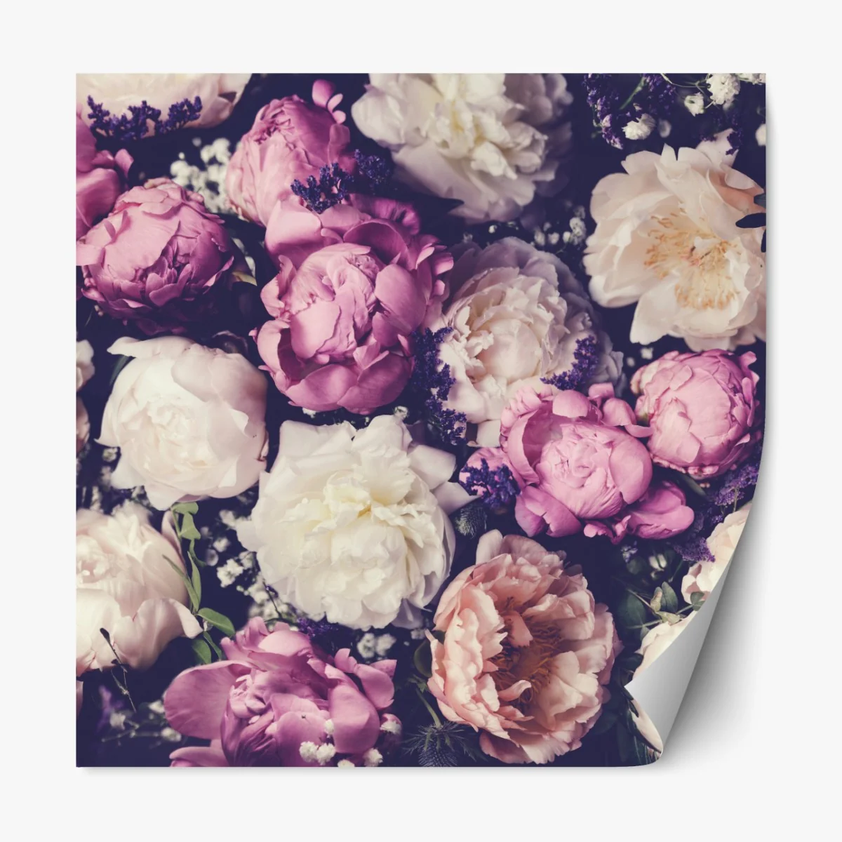 Naklejka repozycjonowalna romantyczny bukiet piwonii w pastelowych tonach – Wallissimo® Naklejka repozycjonowalna romantyczny bukiet piwonii w pastelowych tonach – Wallissimo®