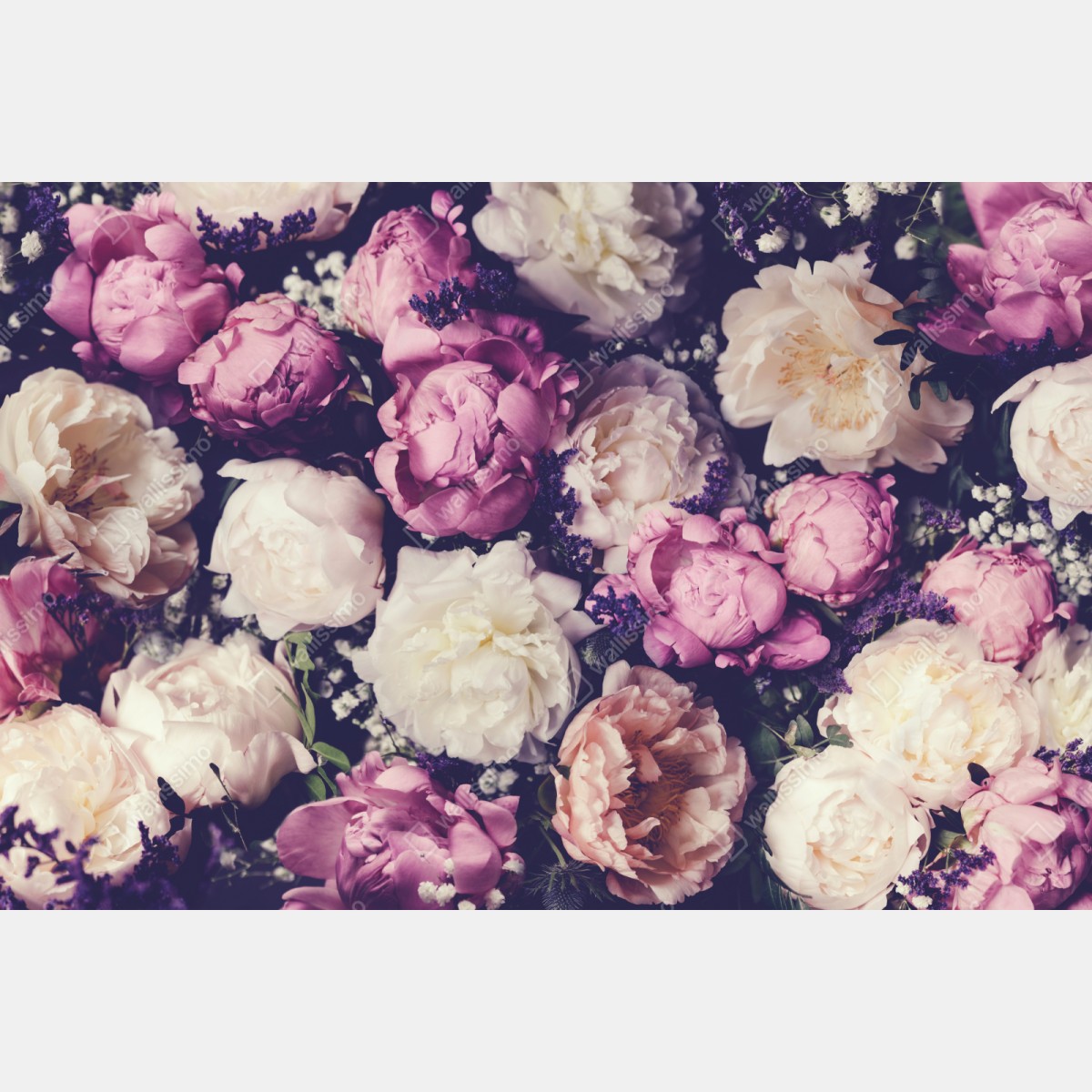 Naklejka repozycjonowalna romantyczny bukiet piwonii w pastelowych tonach – Wallissimo® Naklejka repozycjonowalna romantyczny bukiet piwonii w pastelowych tonach – Wallissimo®