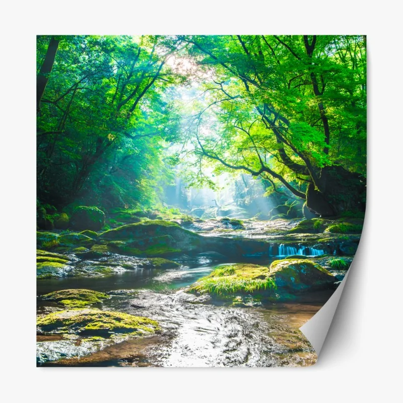 Naklejka repozycjonowalna tropikalne akwarelowe orchidee i liście palmowe – Wallissimo®