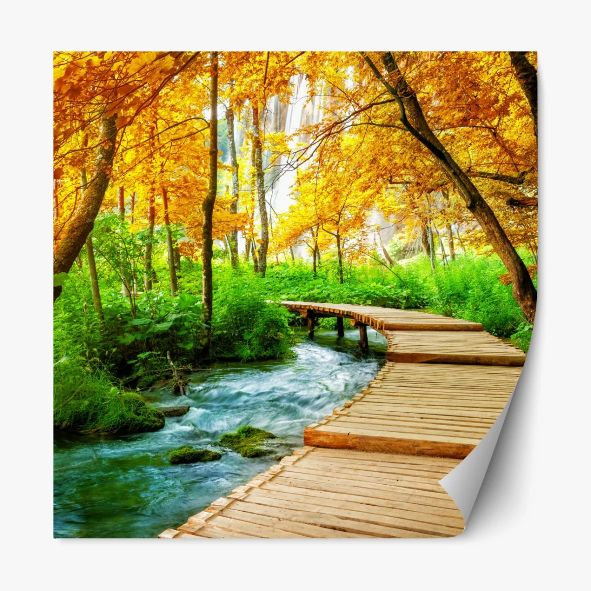 Naklejka repozycjonowalna złoty pomost w lesie nad Plitwickimi Jeziorami – Wallissimo® Naklejka repozycjonowalna złoty pomost w lesie nad Plitwickimi Jeziorami – Wallissimo®