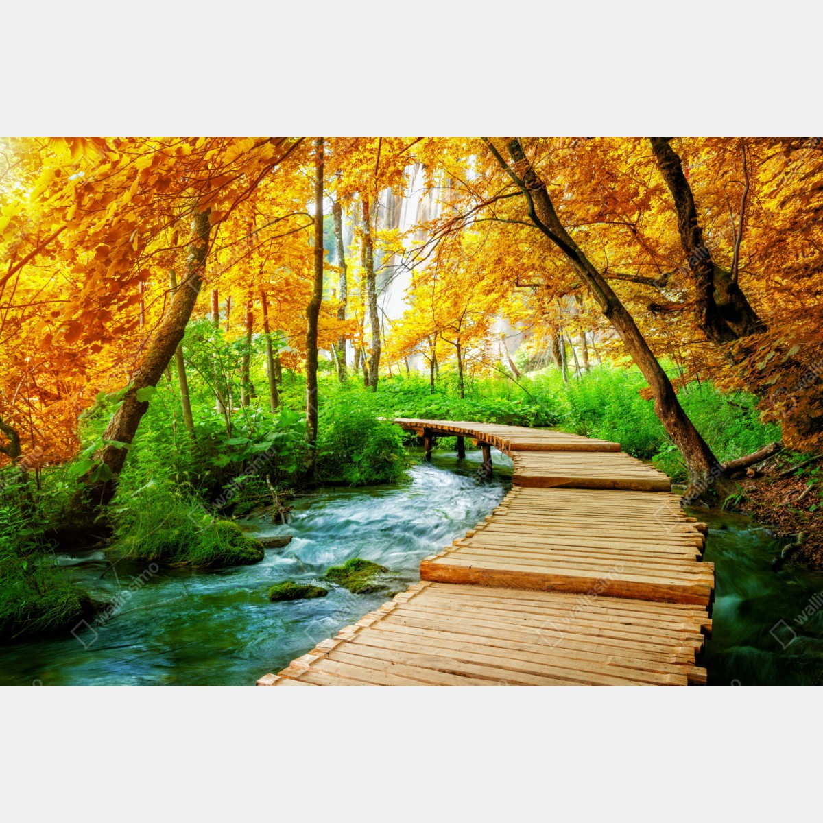 Naklejka repozycjonowalna złoty pomost w lesie nad Plitwickimi Jeziorami – Wallissimo® Naklejka repozycjonowalna złoty pomost w lesie nad Plitwickimi Jeziorami – Wallissimo®