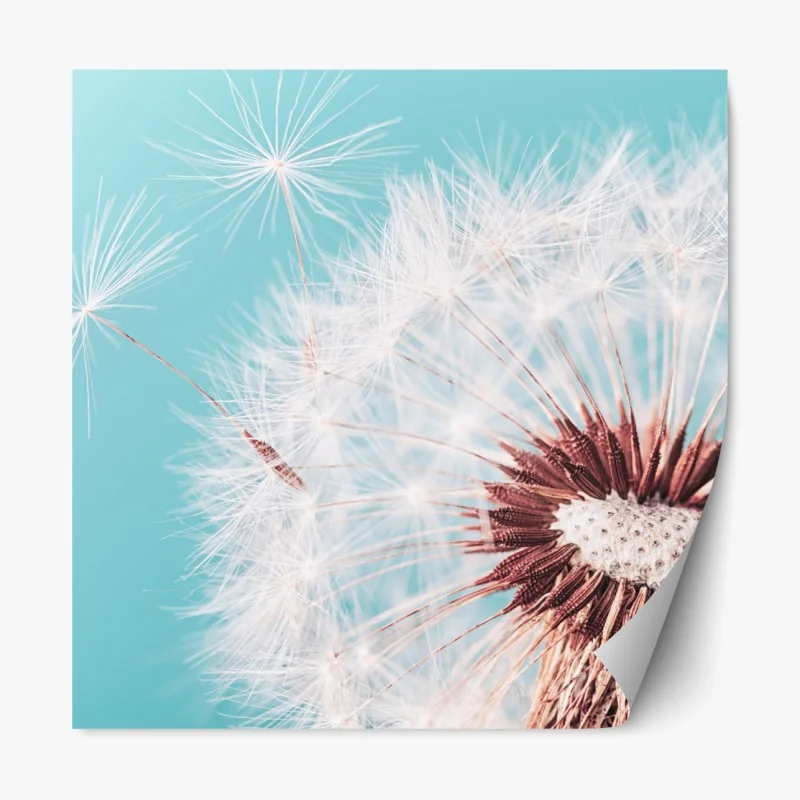 Naklejka repozycjonowalna tropikalny zachód słońca z sylwetkami palm – Wallissimo®