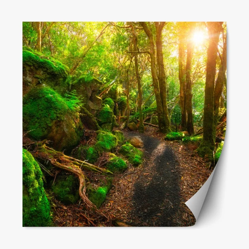 Naklejka repozycjonowalna spokojny turkusowy wzór fal – Wallissimo®