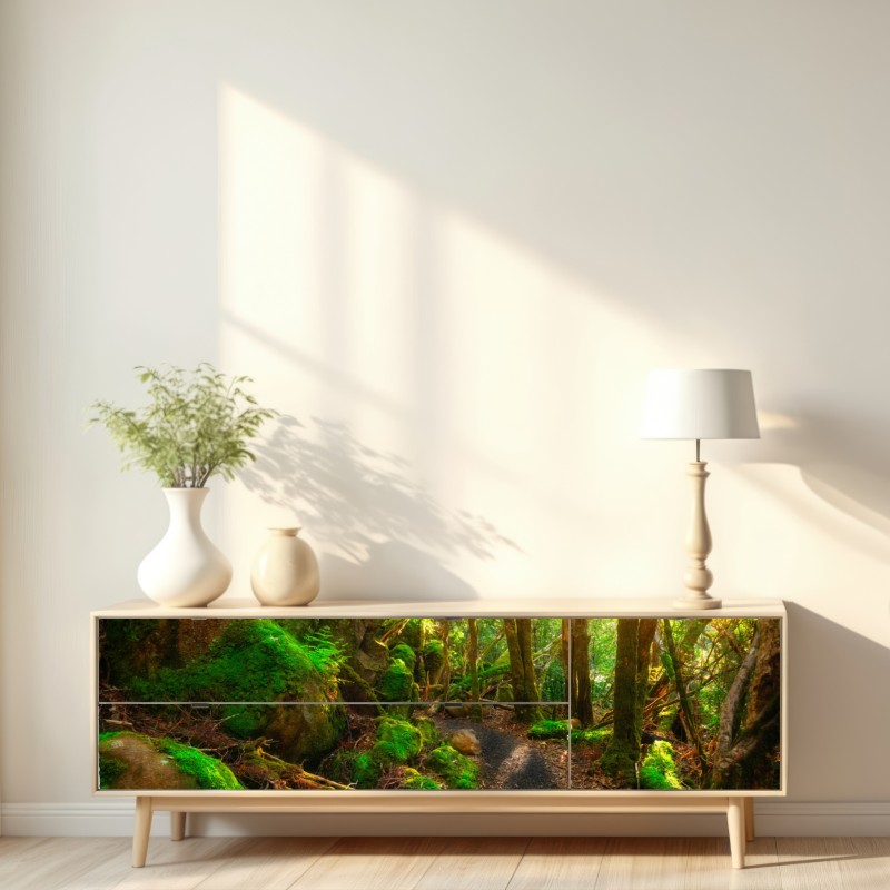 Naklejka repozycjonowalna słoneczna ścieżka w lesie deszczowym Półwyspu Tasman, Tasmania – Wallissimo® Naklejka repozycjonowalna słoneczna ścieżka w lesie deszczowym Półwyspu Tasman, Tasmania – Wallissimo®