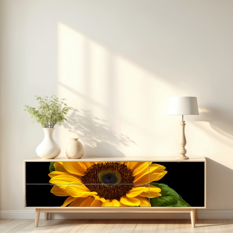 Naklejka repozycjonowalna żywy słonecznik na czarnym tle – Wallissimo® Naklejka repozycjonowalna żywy słonecznik na czarnym tle – Wallissimo®