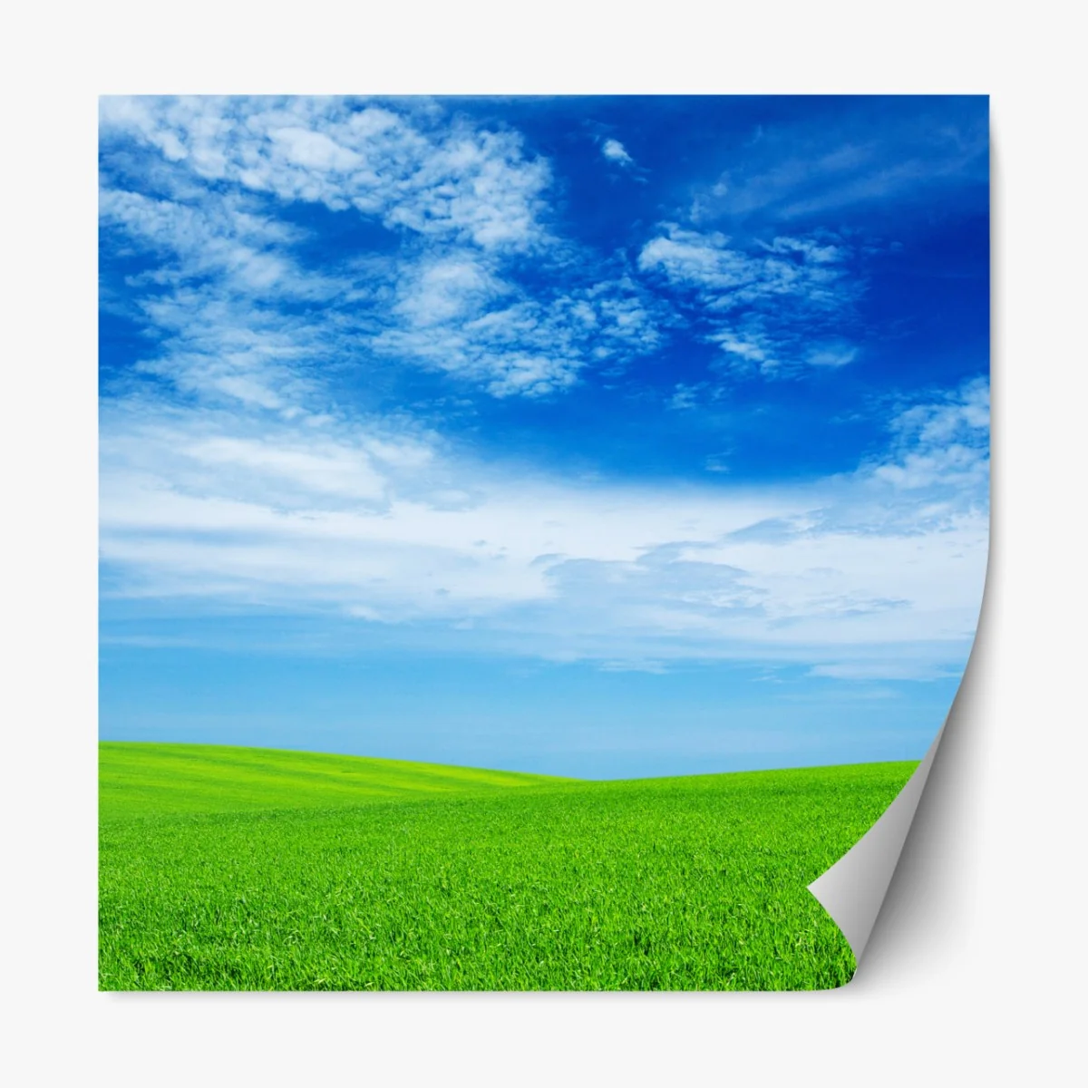 Naklejka repozycjonowalna zielona łąka pod błękitnym niebem – Wallissimo® Naklejka repozycjonowalna zielona łąka pod błękitnym niebem – Wallissimo®