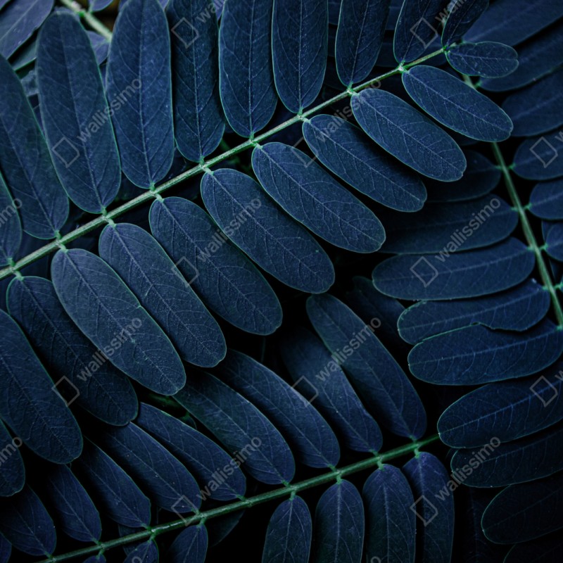 Naklejka repozycjonowalna niebieski wzór liści – Wallissimo® Naklejka repozycjonowalna niebieski wzór liści – Wallissimo®